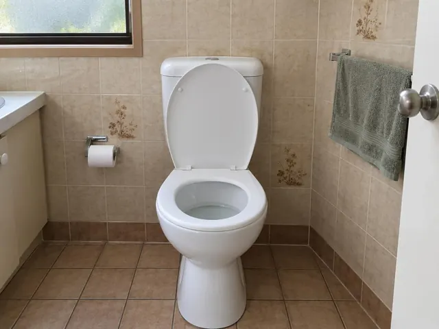 Clean white toilet in a tiled bathroom with towel ring and window in Claremont Meadows